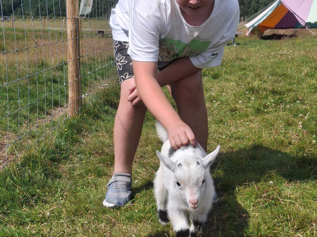Invercannich Farm-Cannich必去景点