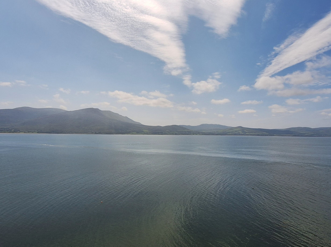 Tralee Bay Experience- Fenit boat tours-Fenit必去景点