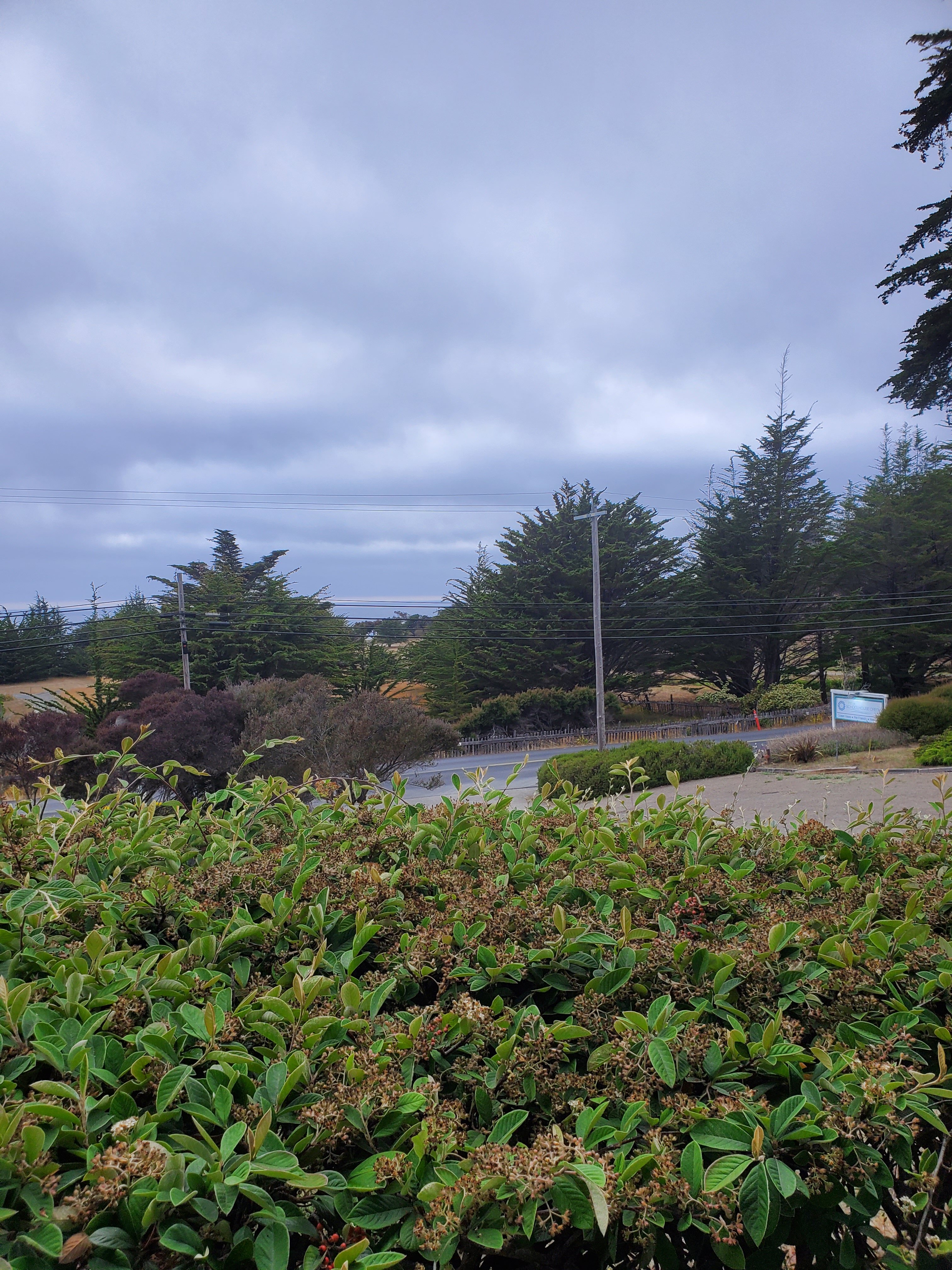 Inn at Schoolhouse Creek-客卧