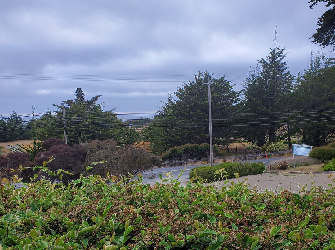 Inn at Schoolhouse Creek主图