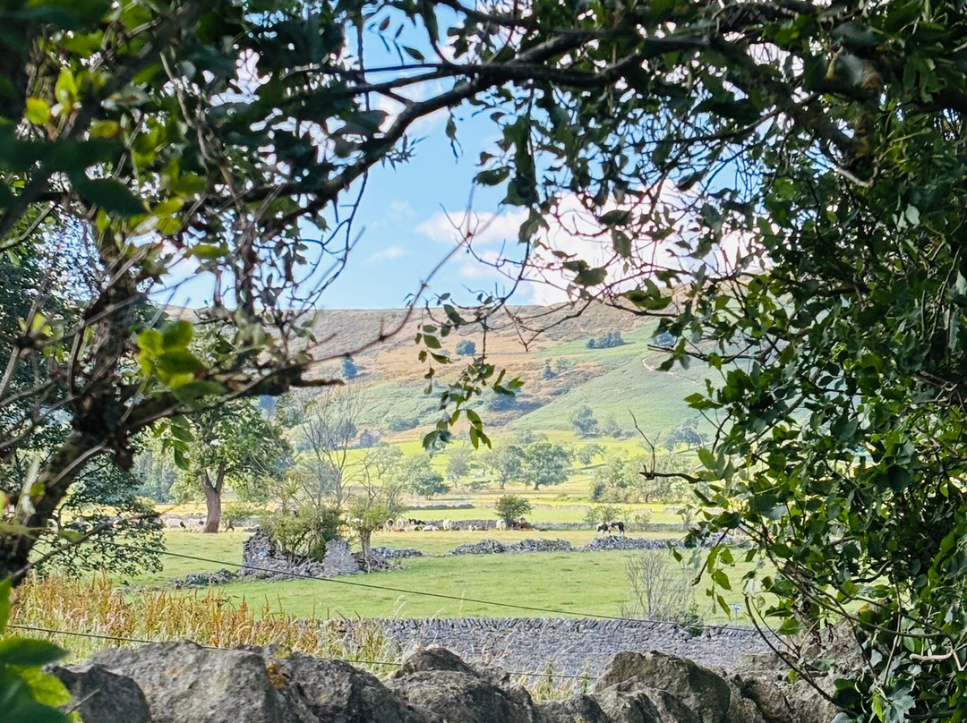 Speedwell House主图