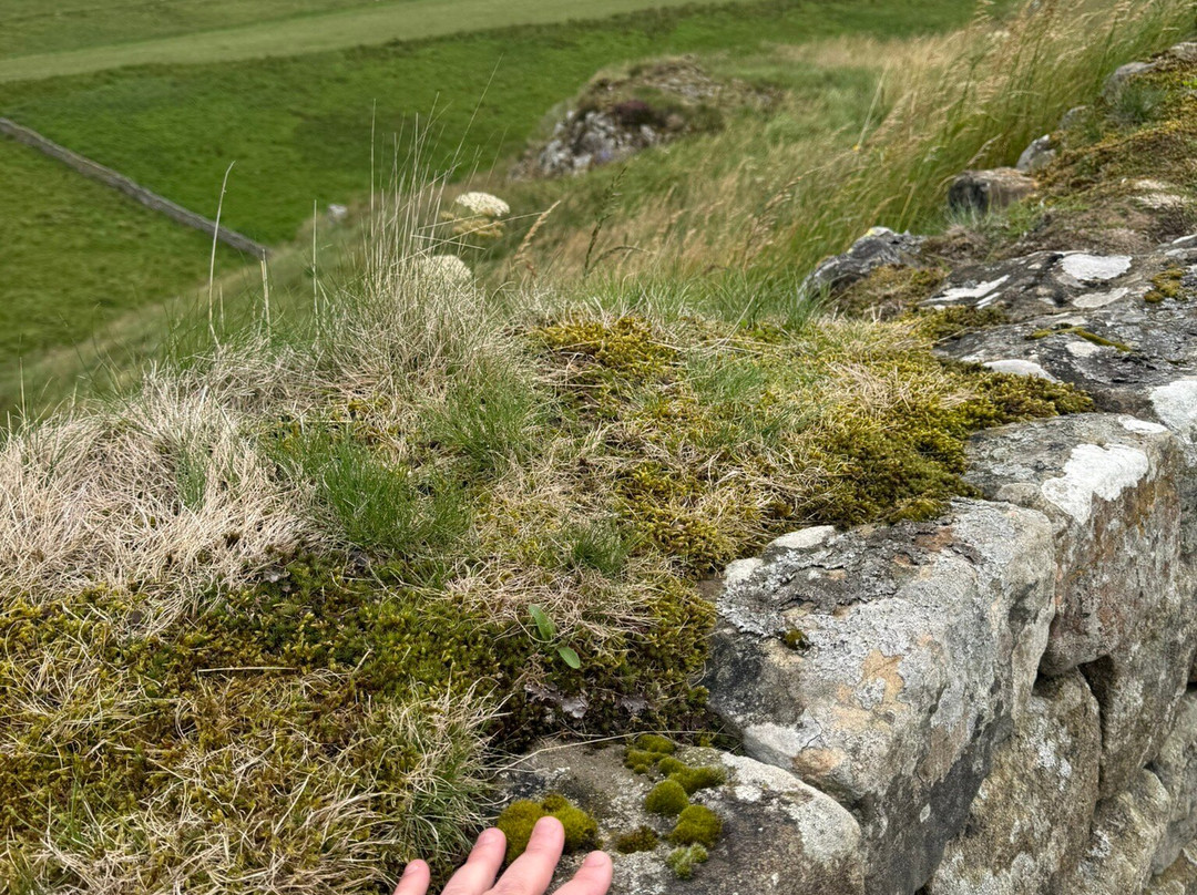 Steel Rigg-Henshaw必去景点