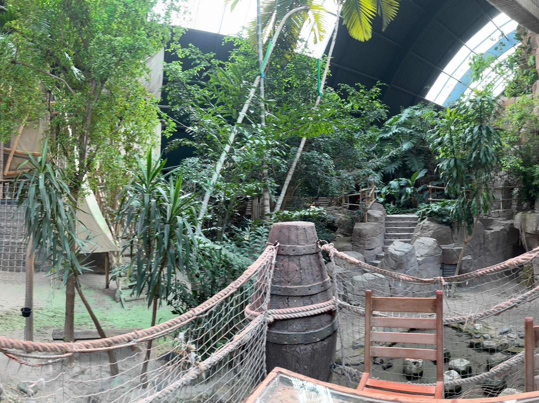 Domaine De Vossemeren Center Parcs主图