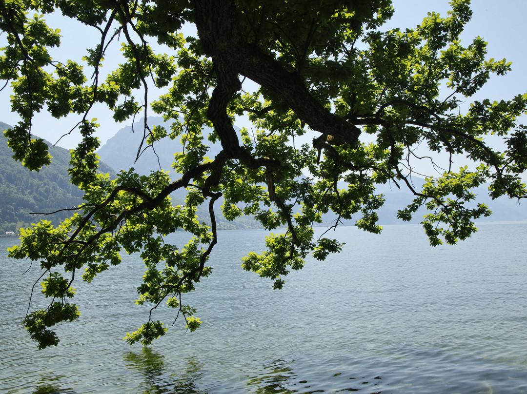 Toskana Park-葛姆登必去景点