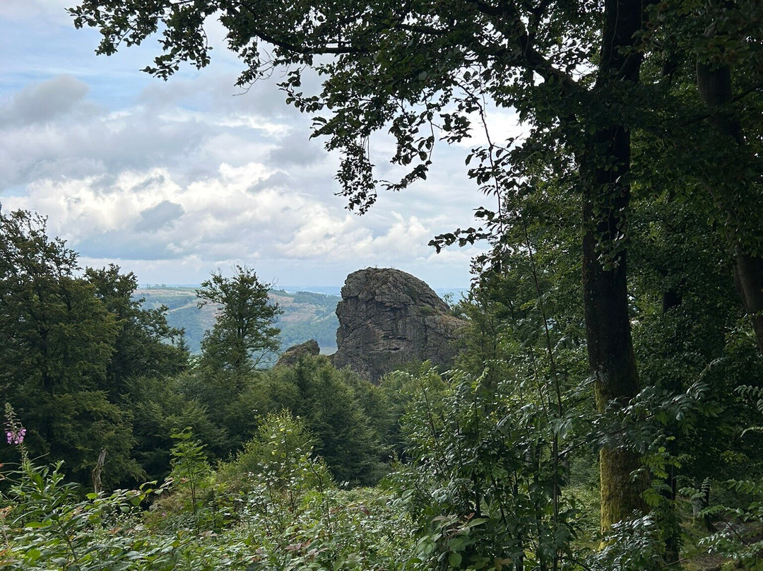Bruchhauser Steine-Olsberg必去景点