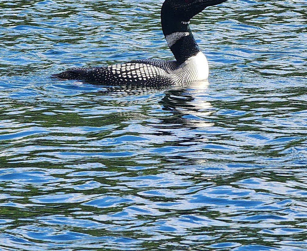 Purity Spring Resort主图