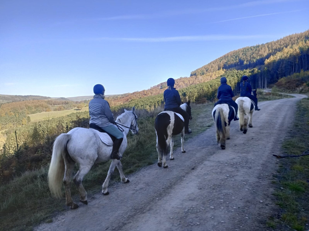 Bilsdale Riding Centre-Hawnby必去景点