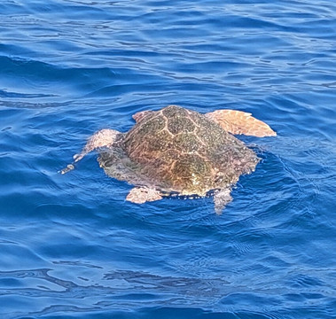 Los Rapidos-洛斯·吉甘特斯必去景点