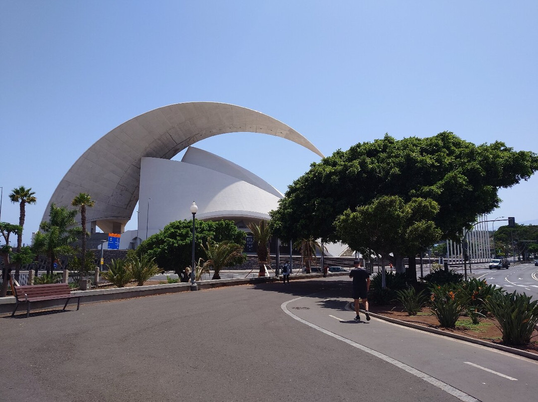 Tenerife Auditorium (Auditorio de Tenerife)-圣克鲁斯-德特内里费必去景点