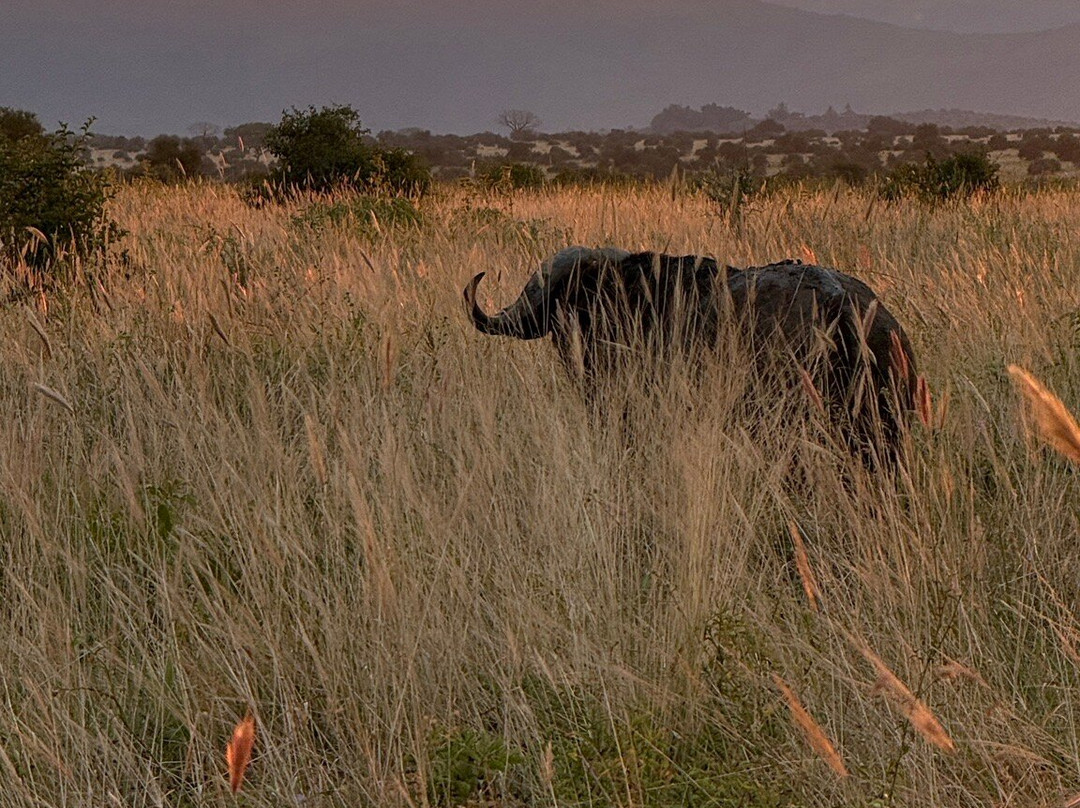 Kenya Safari Escapes-马林地必去景点