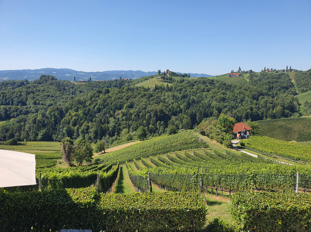 Die Südsteirische Weinstraße-洛伊查赫必去景点