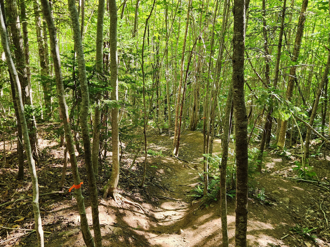 Egypt Falls-Margaree Harbour必去景点