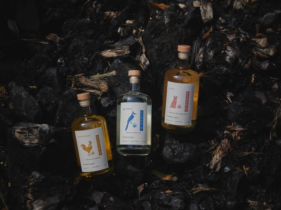 Finca 18-瓦拉塔港必去景点