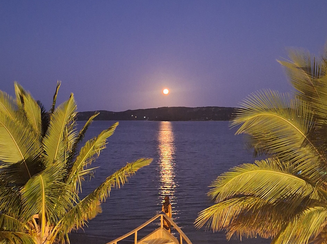 Mukumbura Lodge Bilene主图