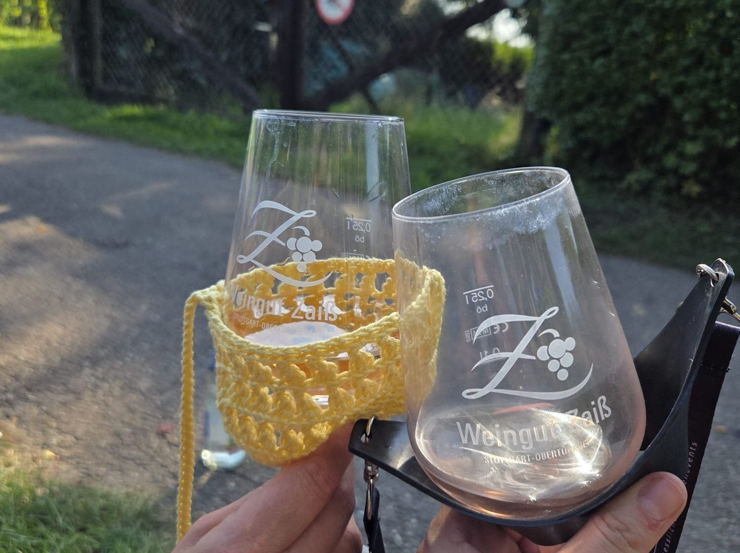 frohnatouren-斯图加特必去景点