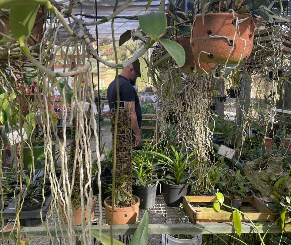 Fábrica de Orquídeas-Paty do Alferes必去景点