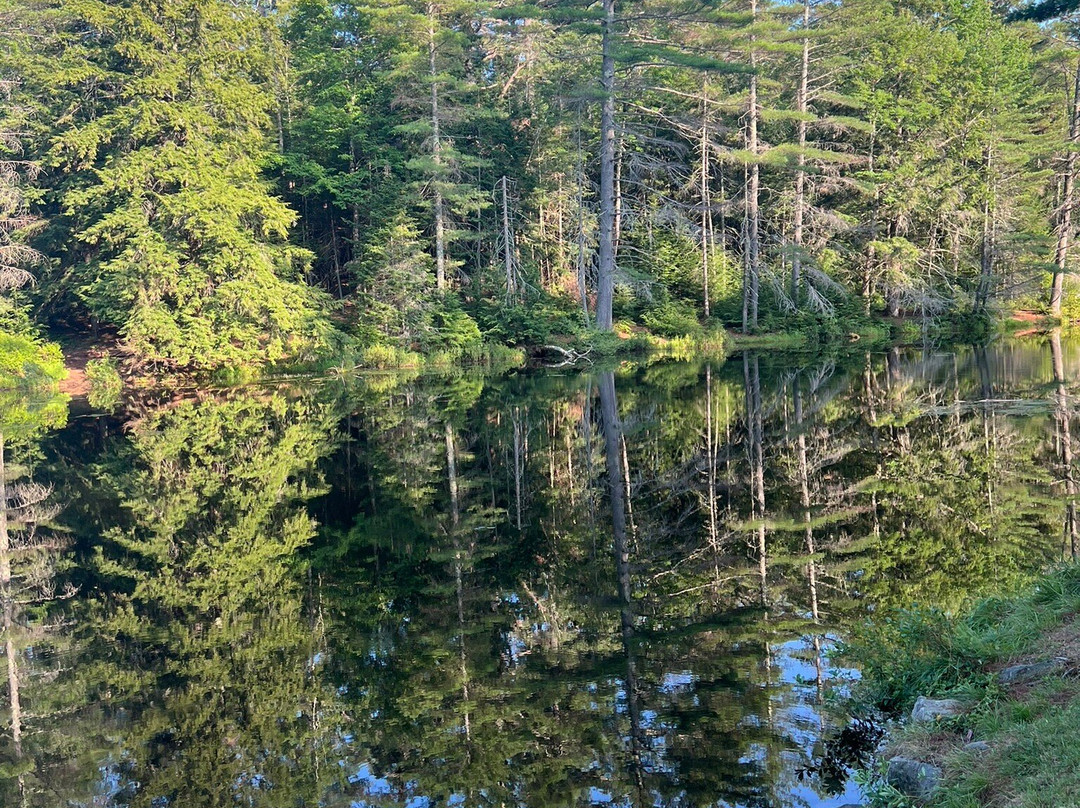 Lowell Lake State Park-Londonderry必去景点