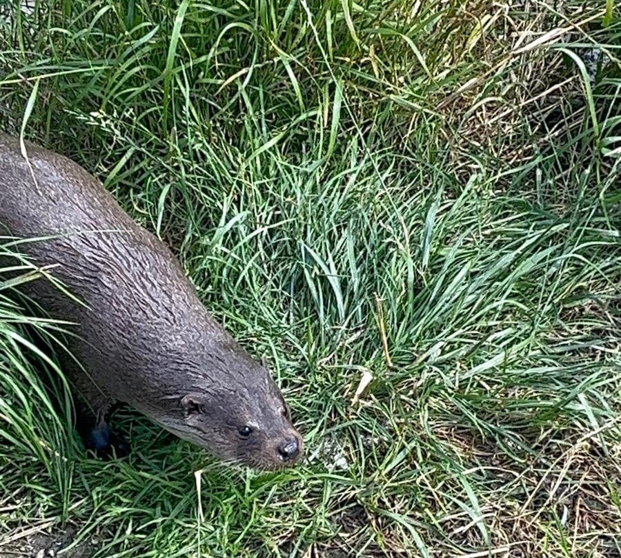 Multimar Wattforum-Toenning必去景点