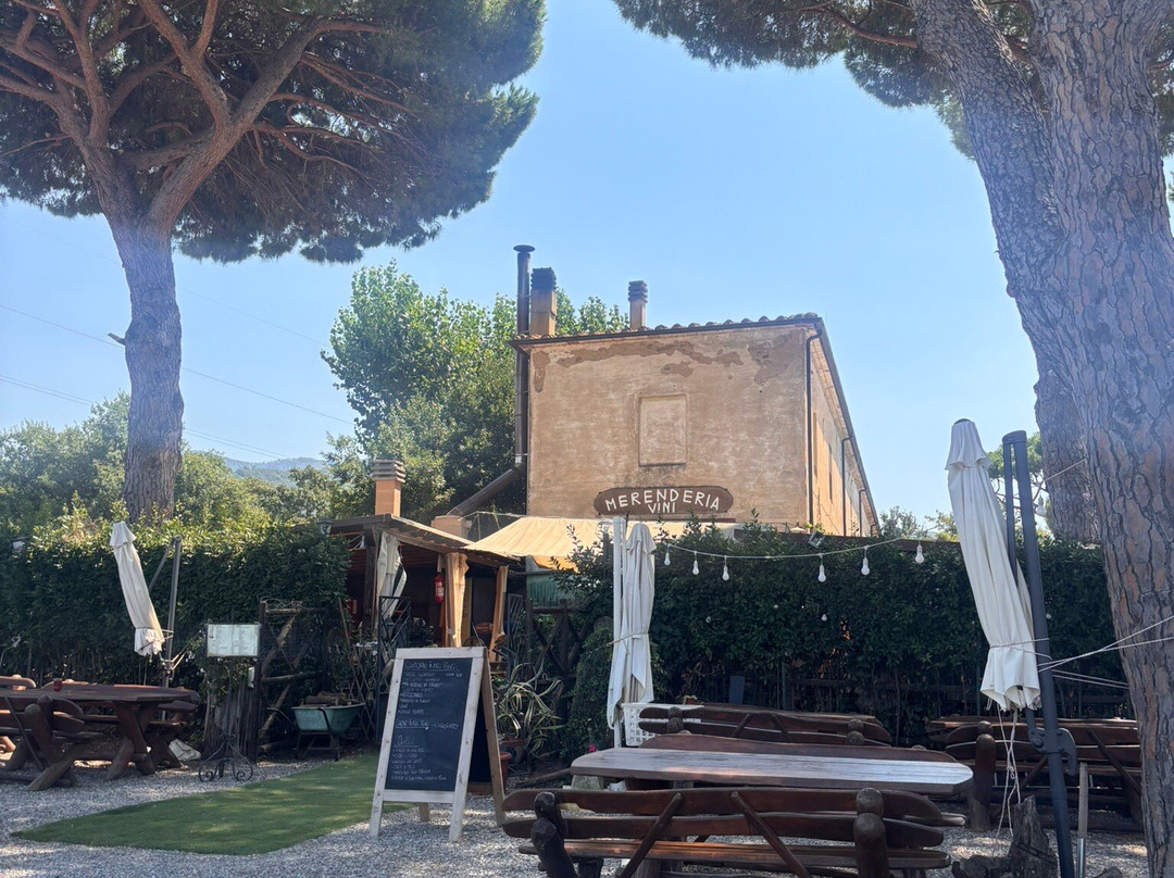 Area Archeologica Etrusca di Poggio Tondo-斯卡尔利诺必去景点