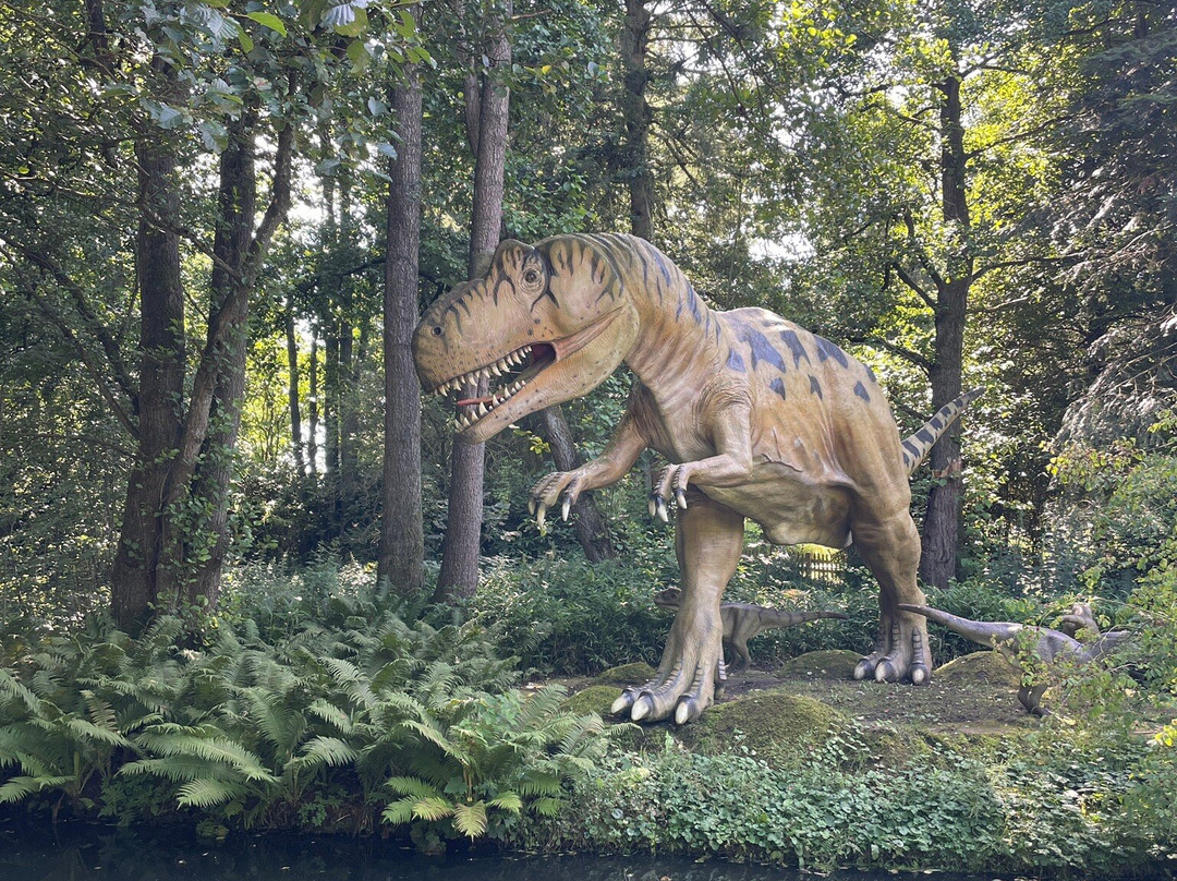 Tolk Schau-Tolk必去景点