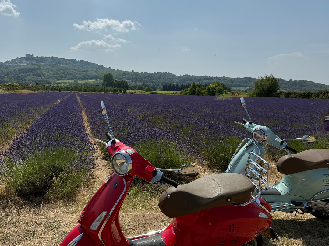 Loc’Two Scoot Avignon-阿维尼翁必去景点