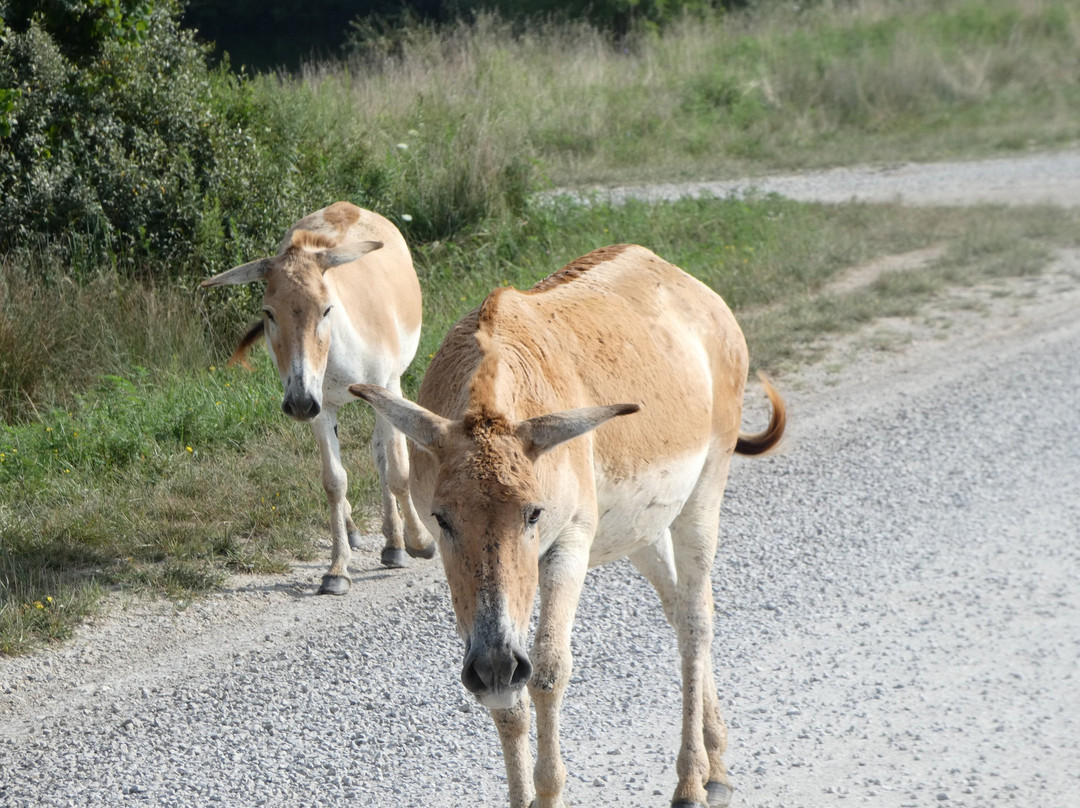 The Wilds-Cumberland必去景点