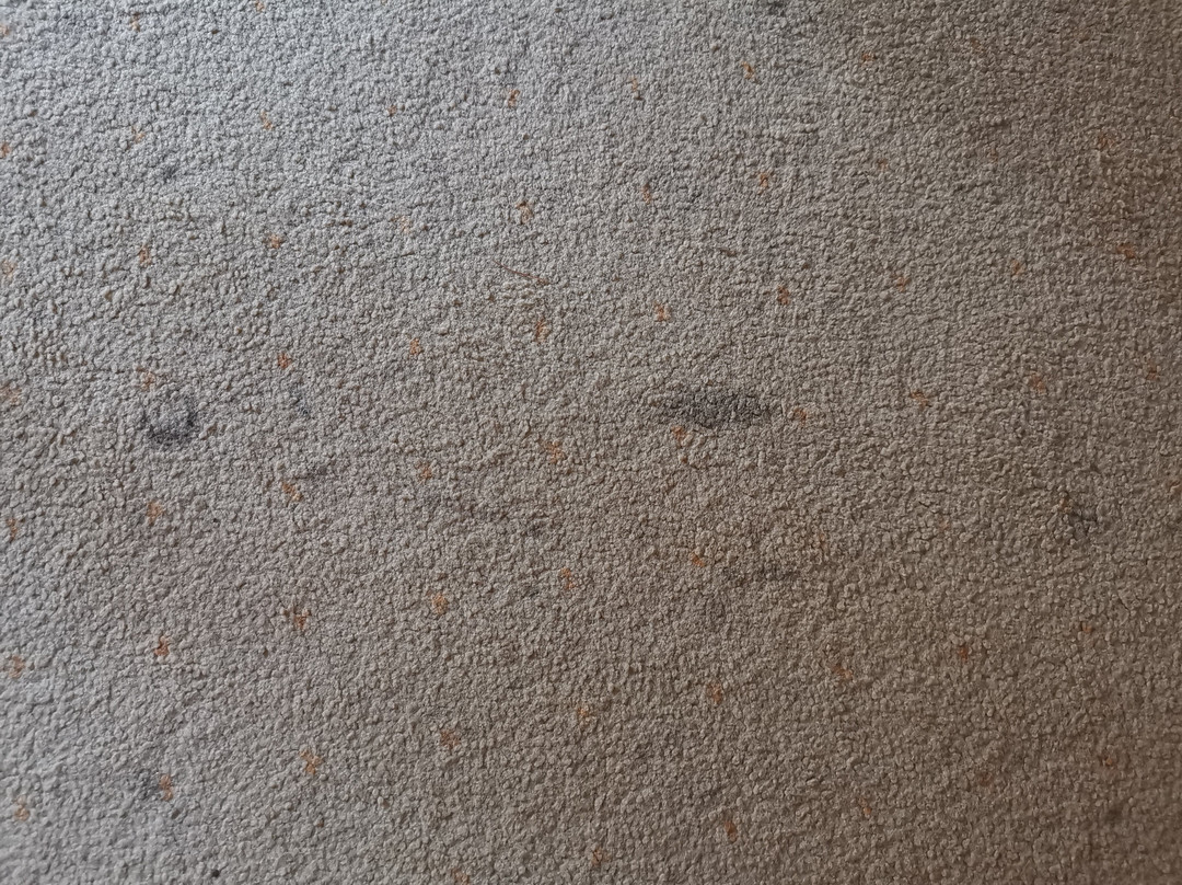 索利图德酒店主图