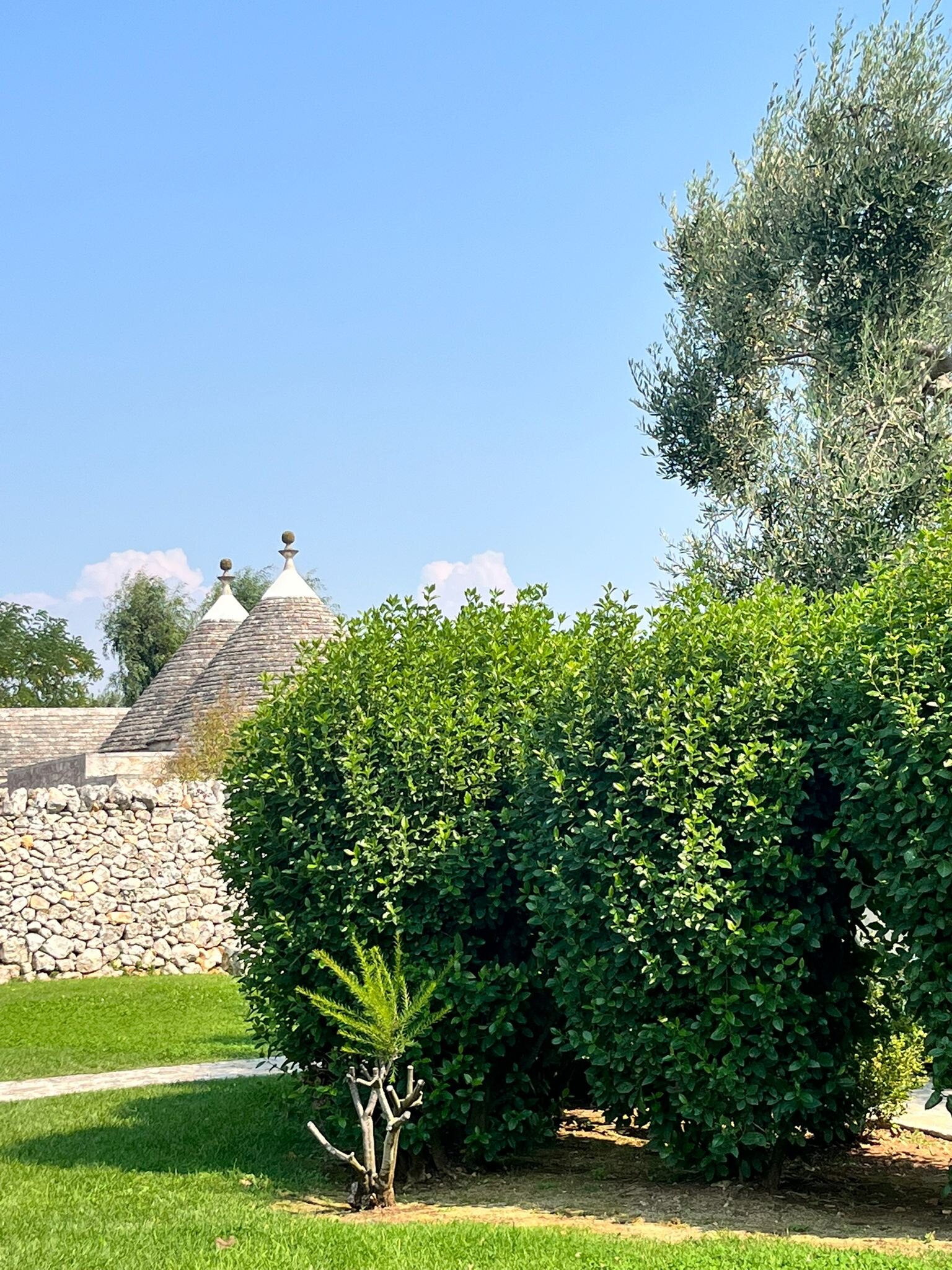 阿巴特马赛利雅度假酒店-官方