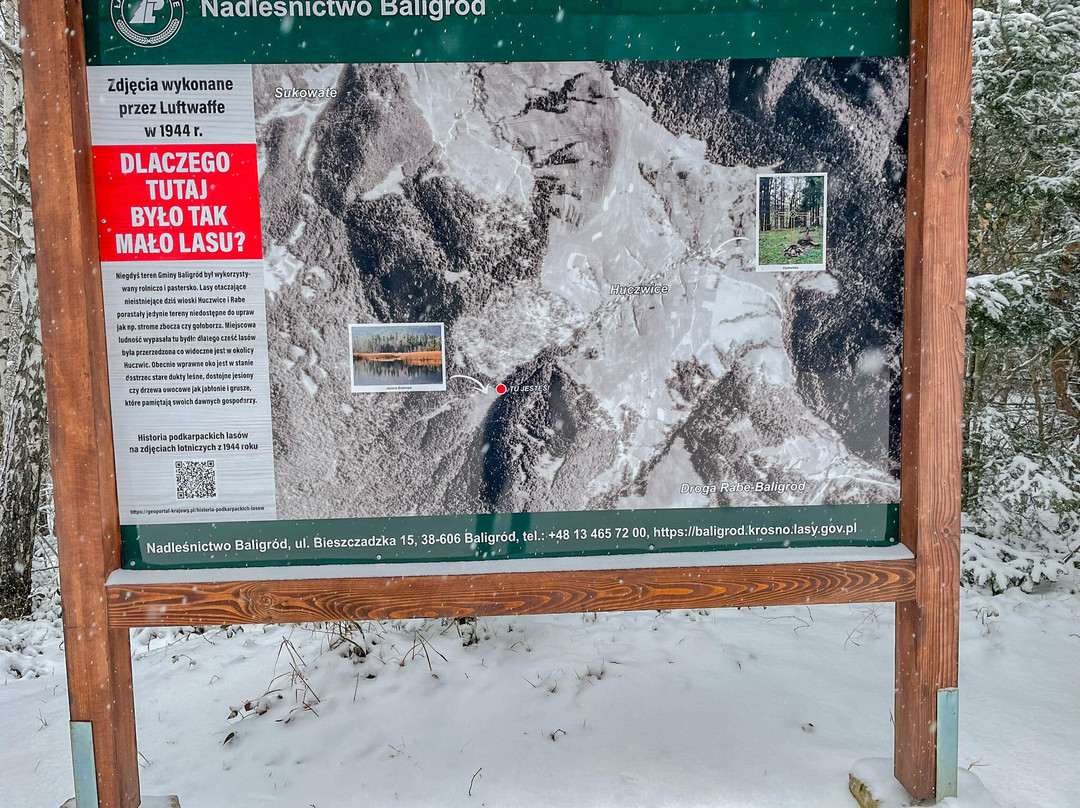 Jeziorka Bobrowe - Platforma Widokowa-Baligrod必去景点