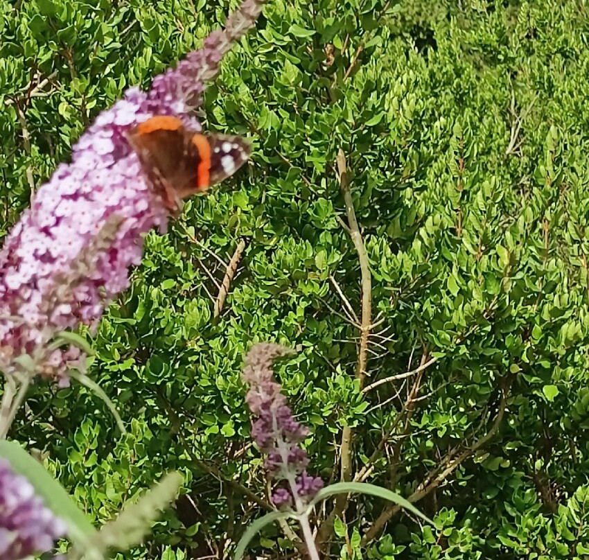 Le Jardin Des Osmanthes-La Bouillie必去景点