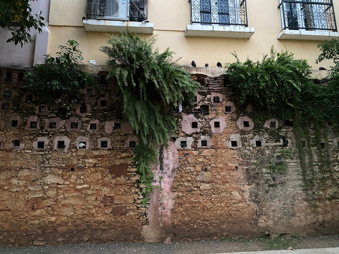 帕克达拉斯帕洛马斯-圣胡安必去景点