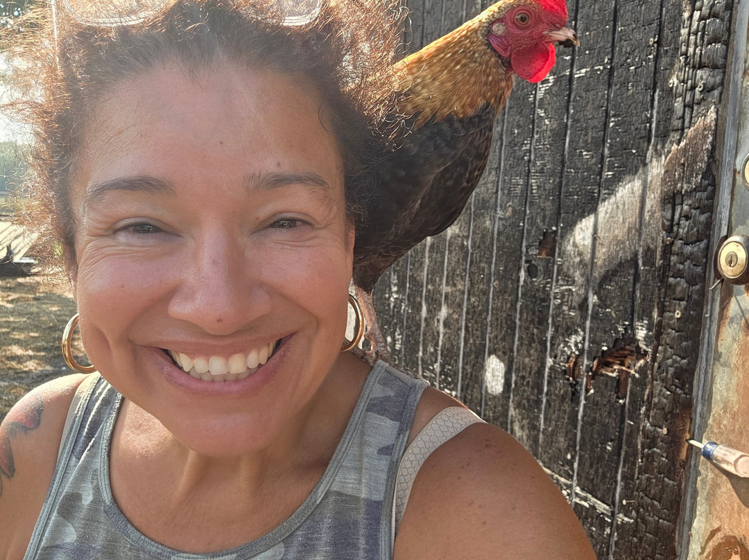 Bella Acres Farm And Animal Sanctuary-Walden必去景点