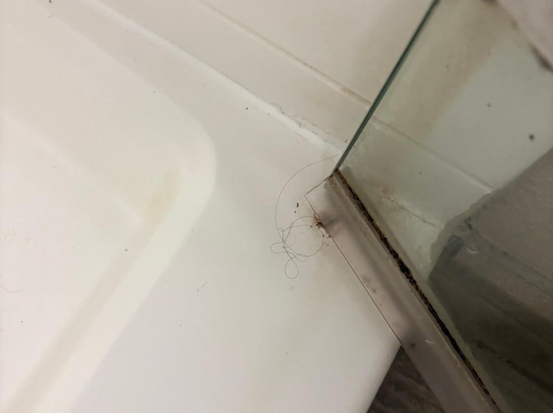 Baymont by Wyndham Erie主图