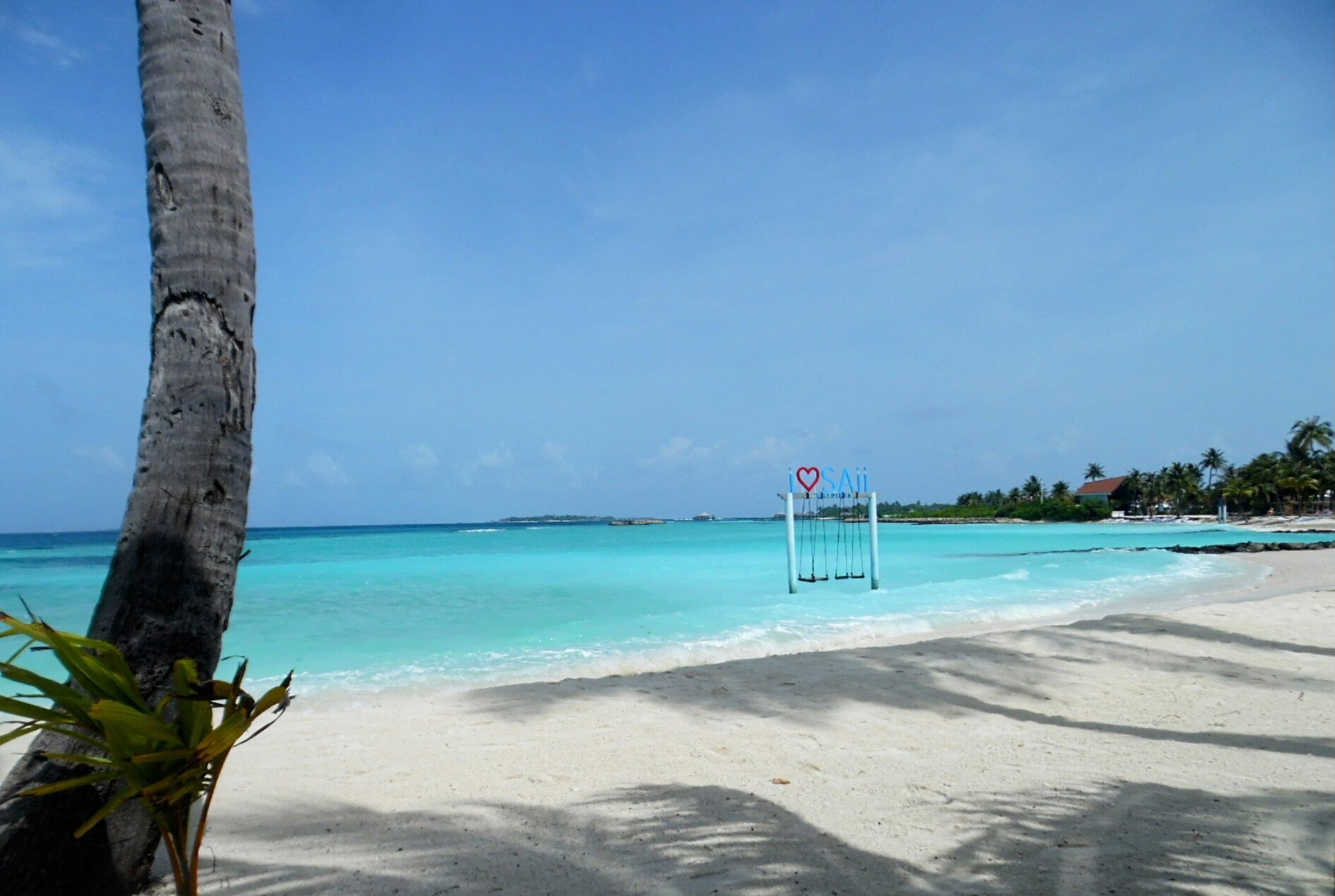SAii Lagoon Maldives, Curio Collection by Hilton-泳池