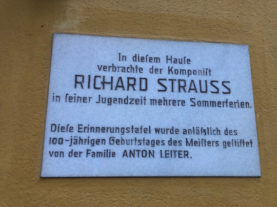 Schwarzer Adler主图