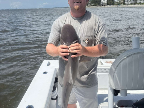 Georgia Saltwater Adventures-圣西蒙斯岛必去景点