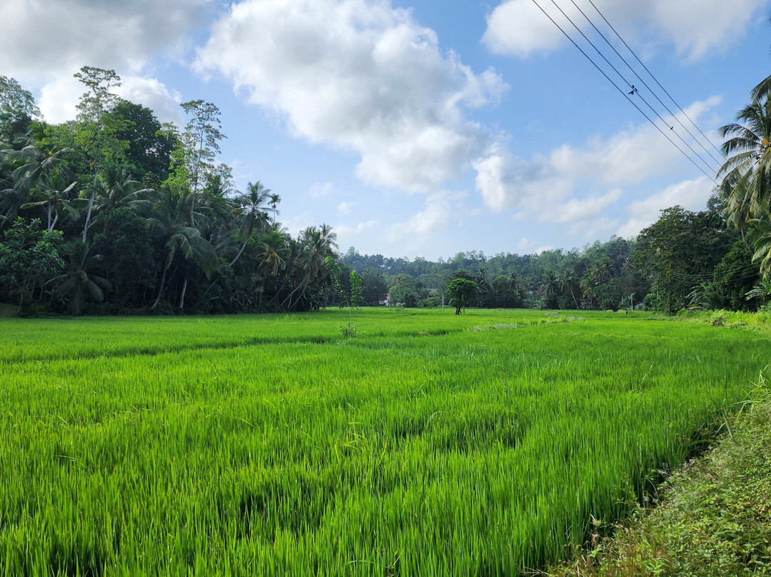 Subara Travels Sri Lanka-Kotugoda必去景点