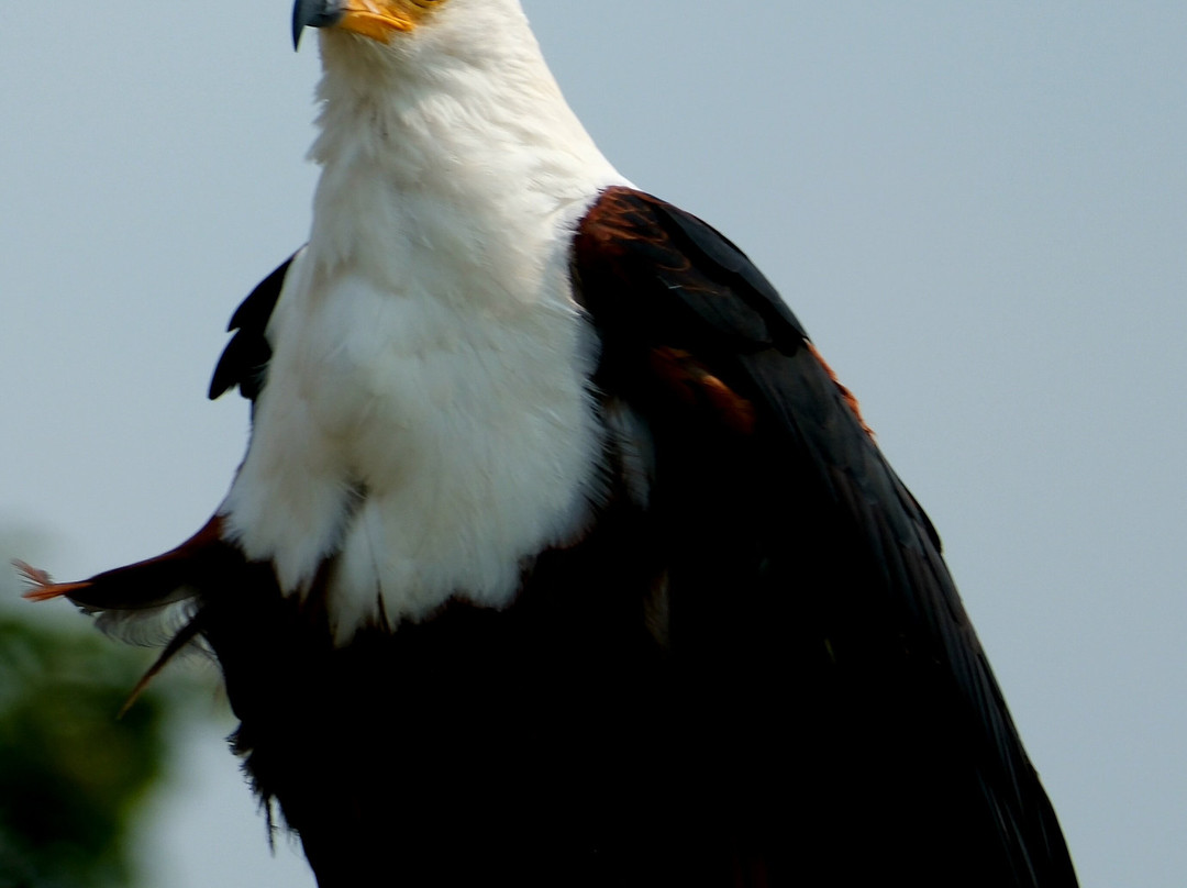 Bamboo Ecotours-坎帕拉必去景点