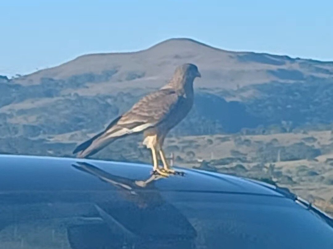 Vinhedos do Monte Agudo-Sao Joaquim必去景点