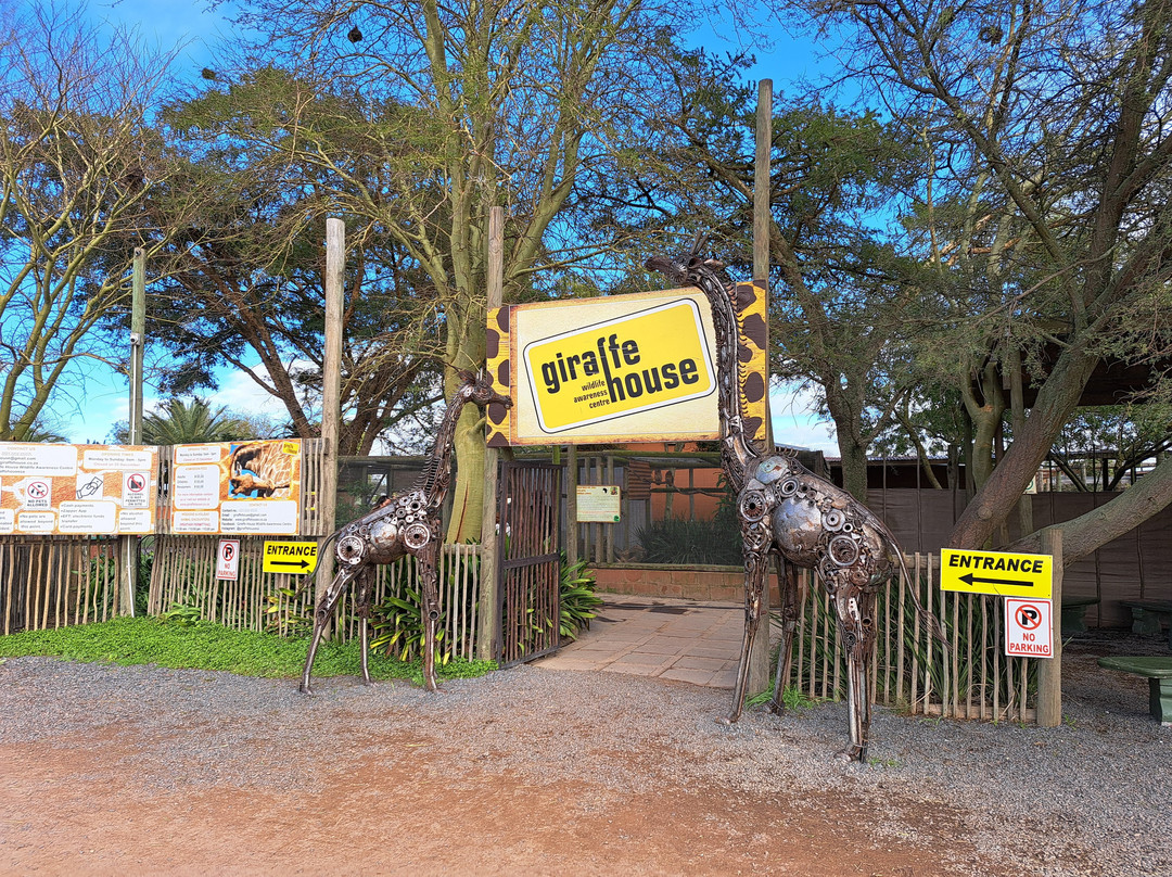 Giraffe House Wildlife Awareness Centre-斯泰伦博斯必去景点