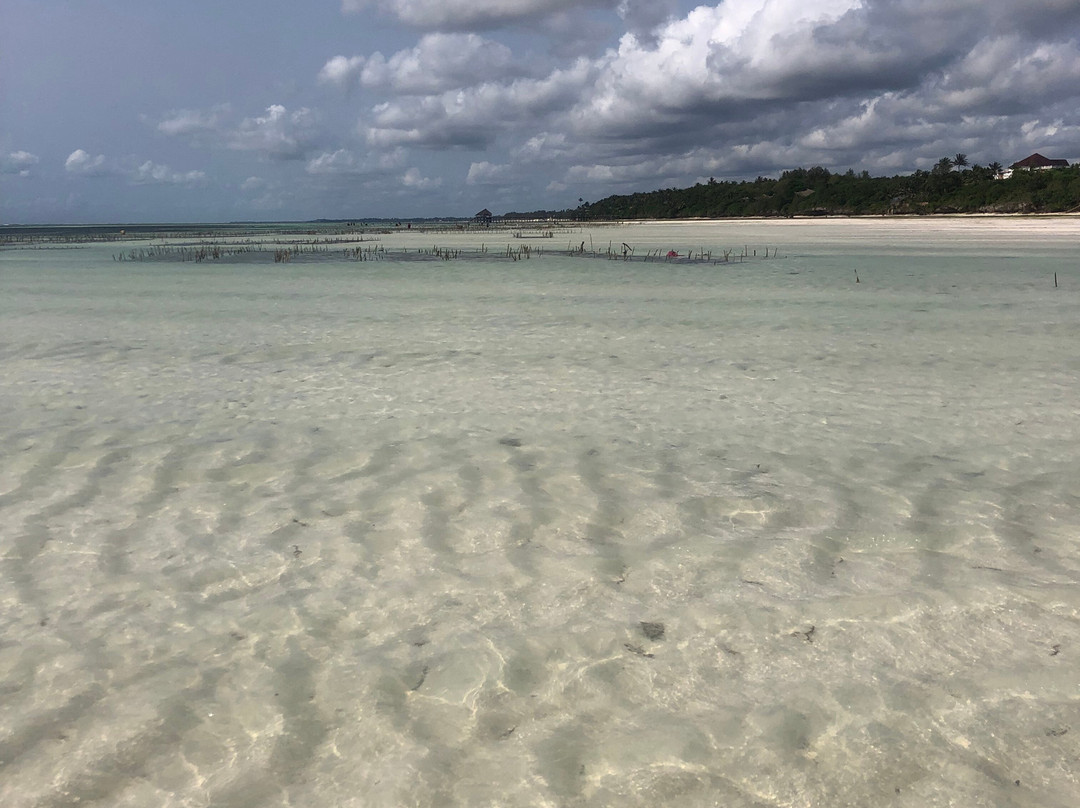 Pwani Mchangani Beach-Pwani Mchangani必去景点