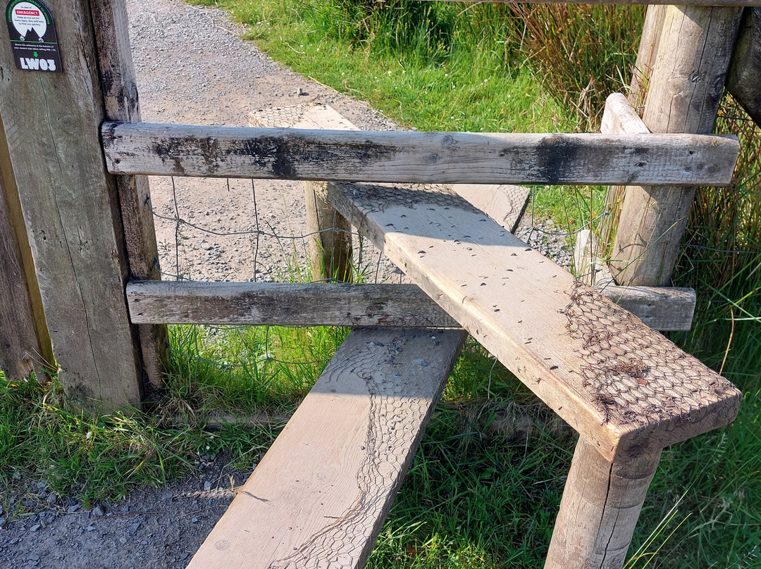 Cuilcagh Boardwalk Trail (Stairway to Heaven)-恩尼斯基林必去景点