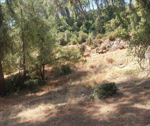 Brilliant Tours-达利安必去景点