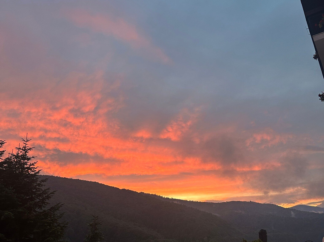 Cabana Valea cu Pesti主图