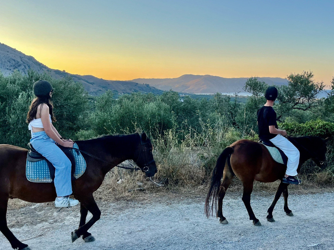 Zoraida's Horse Riding-Paralia Kourna必去景点