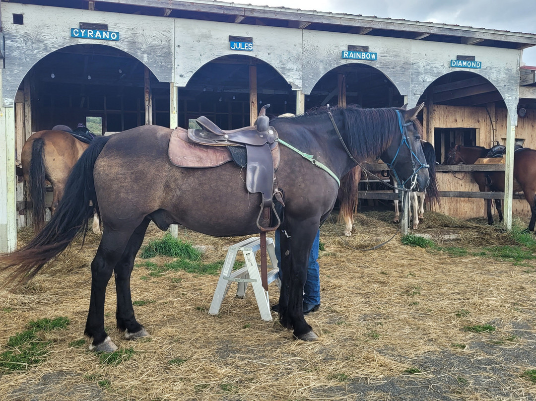 Le Domaine du Centaure-Gaspe必去景点