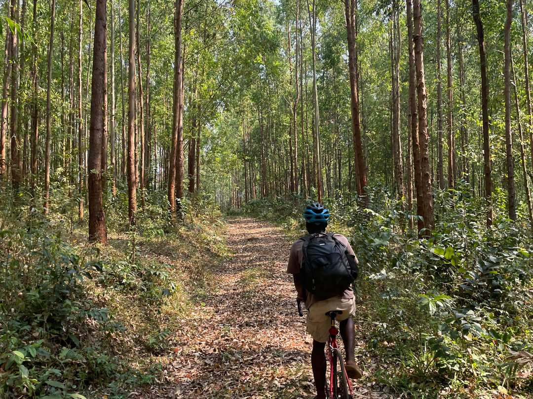 Scenery Adventures Malawi-姆兰杰必去景点
