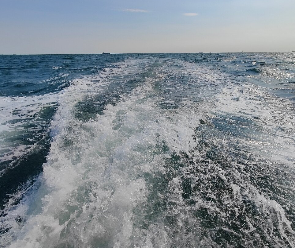 Sussex Sea Charters-West Itchenor必去景点