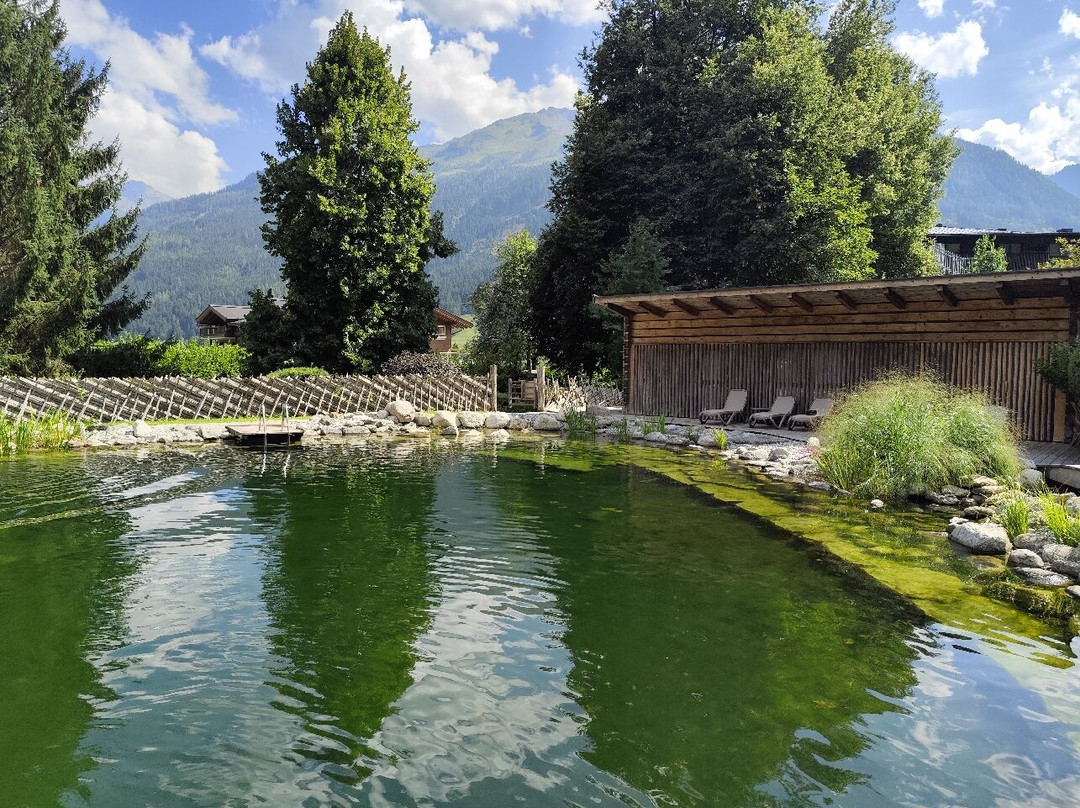 Hotel Kammerlander主图