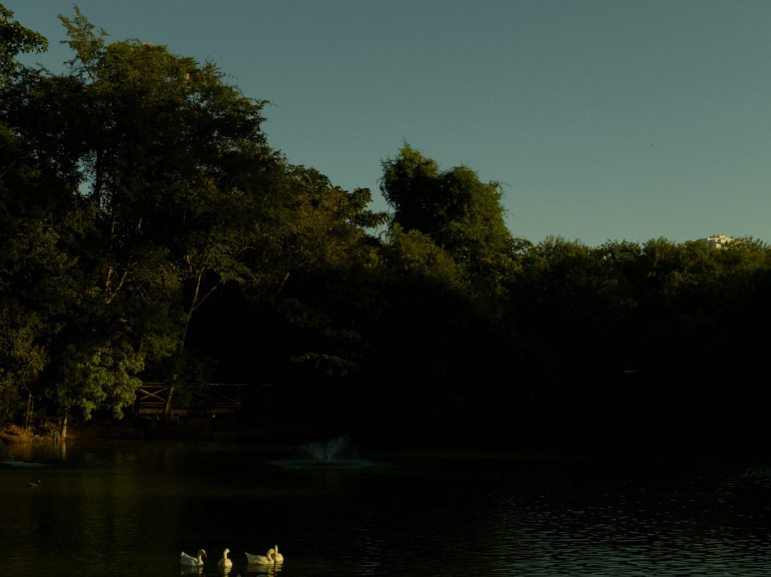 Parque Municipal de Sorriso-Sorriso必去景点